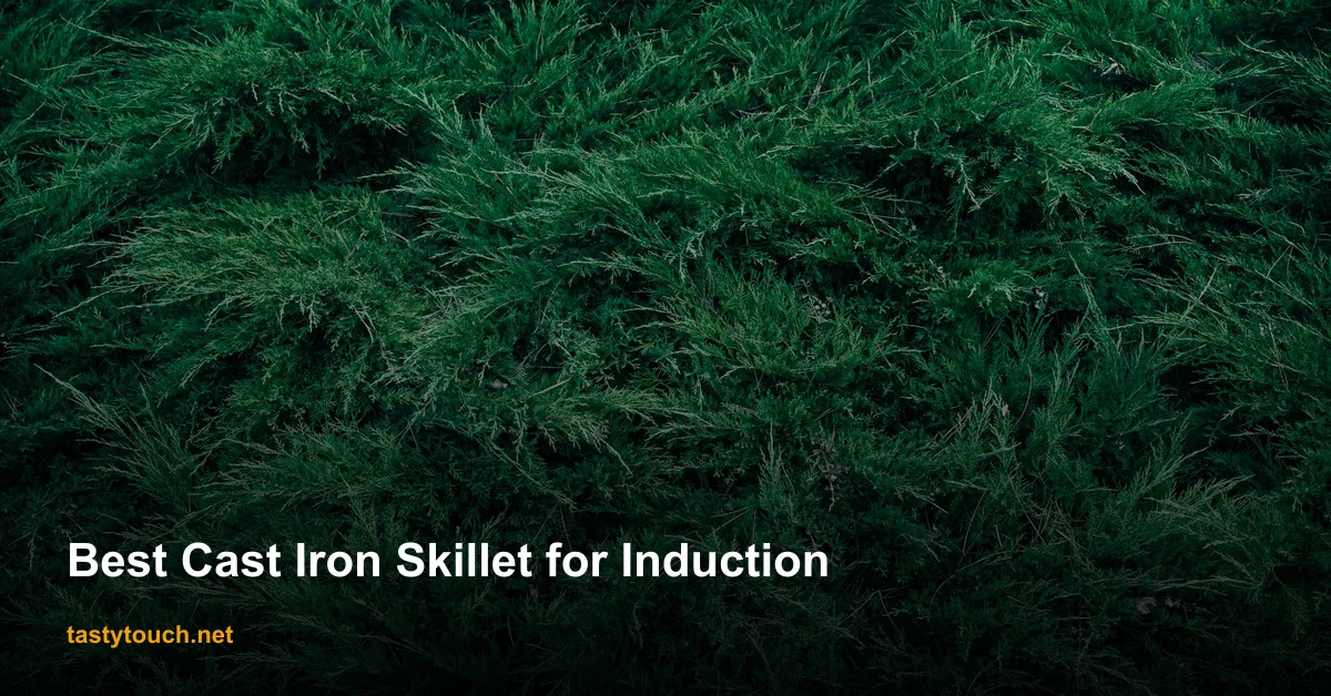 Best Cast Iron Skillets for Induction in 2026