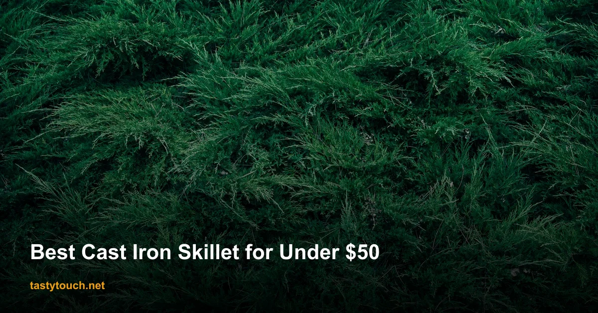 Best Cast Iron Skillets for Under $50 in 2026