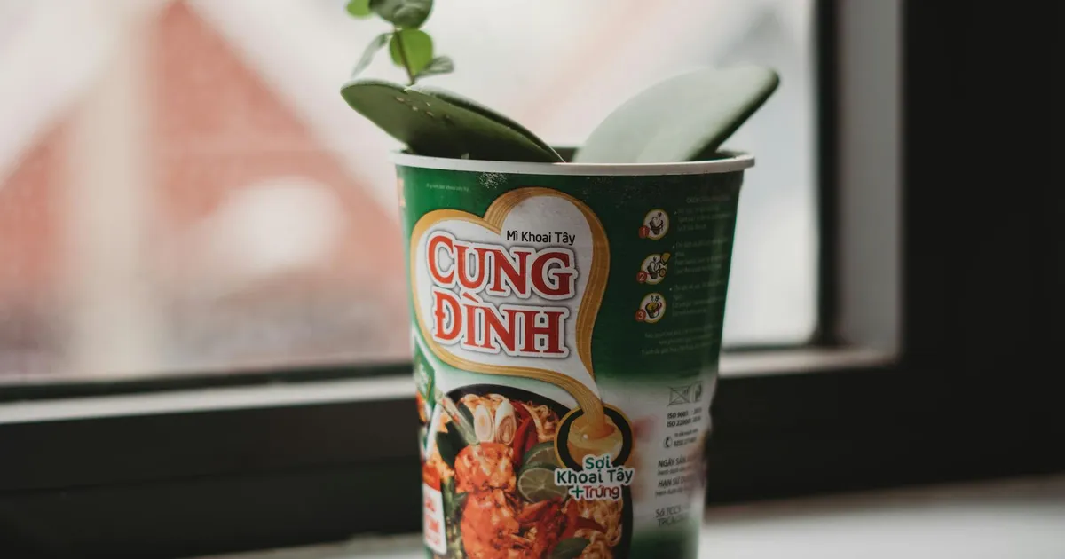 Best Instant Pots for Small in 2026
