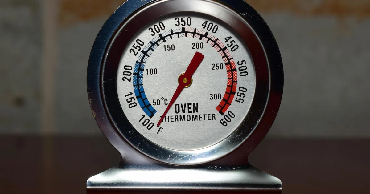 Best Meat Thermometers for Oven in 2026