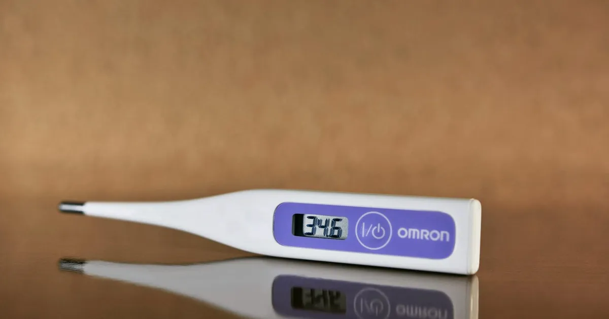 Best Meat Thermometers for Wireless in 2026