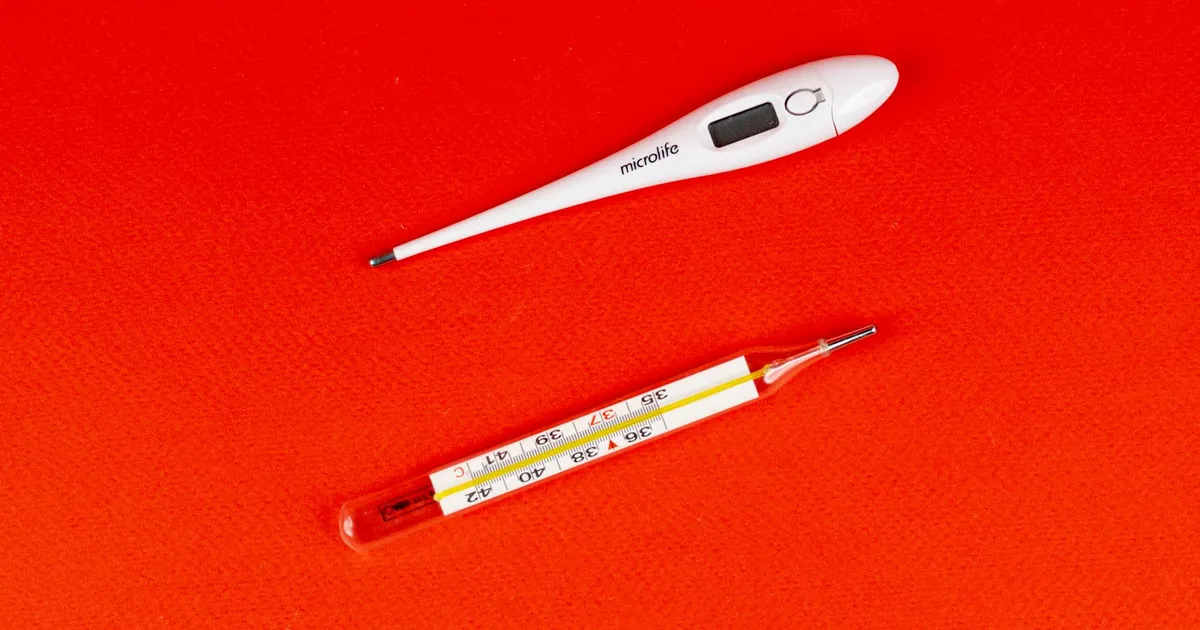 Best Meat Thermometer for Accuracy & Easy Calibration in 2026