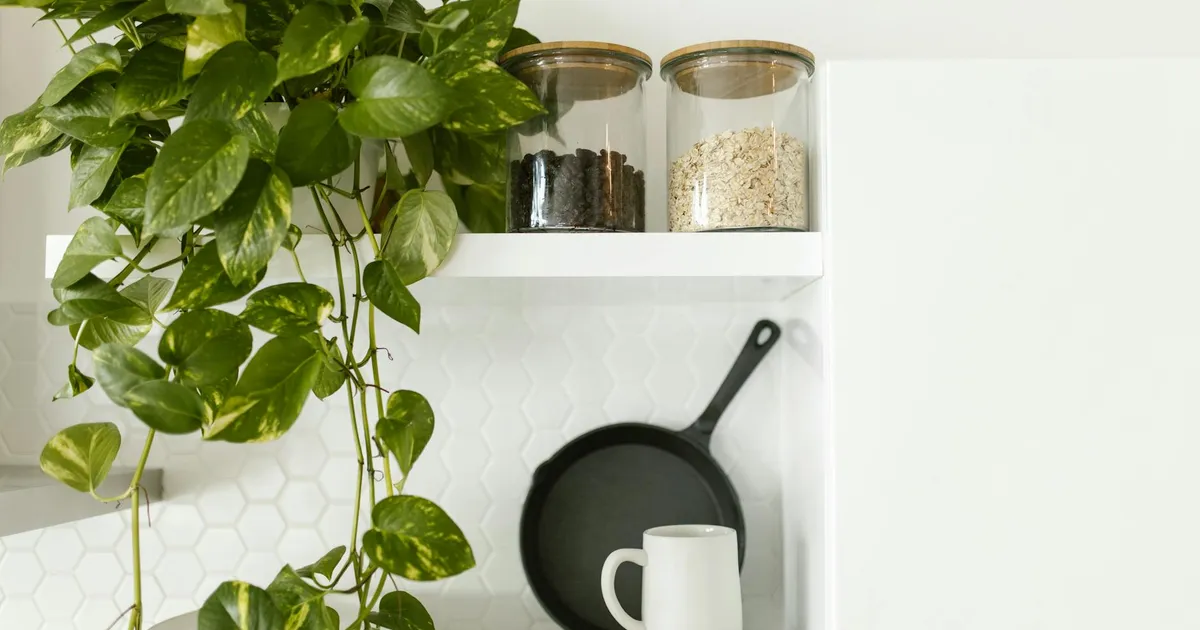 Best Ceramic Pan Storage Solutions in 2026