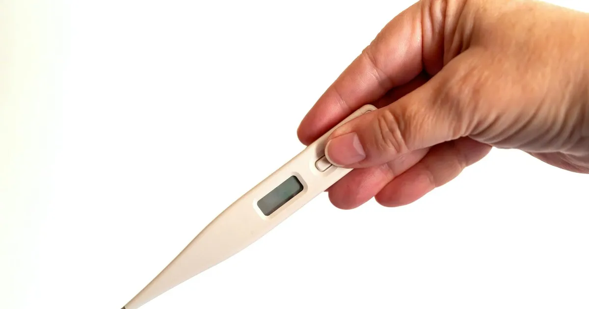 Instant Read Thermometer vs Probe Thermometer: Which Is Best for Your Kitchen?